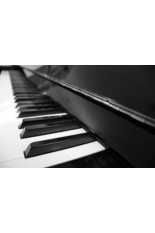 Philipp Susanne - Unterricht auf den Tasten, Klavier oder Orgel