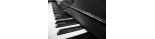 Dahinden Keanu - individueller & flexibler Klavierunterricht für alle Altersstufen